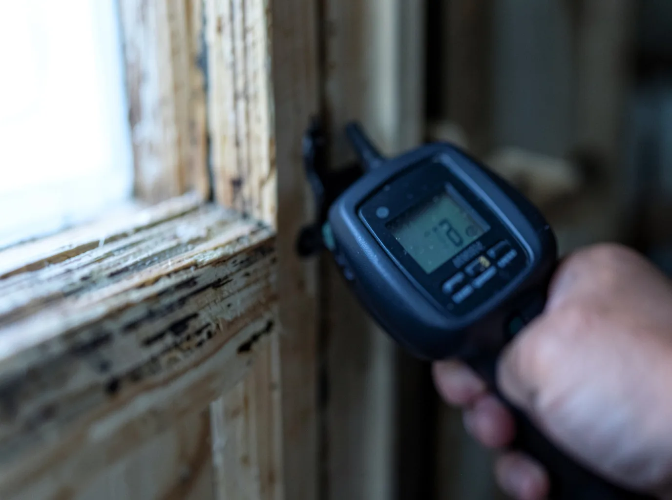 Commercial Water Damage Restoration in Freeman Spur, IL
